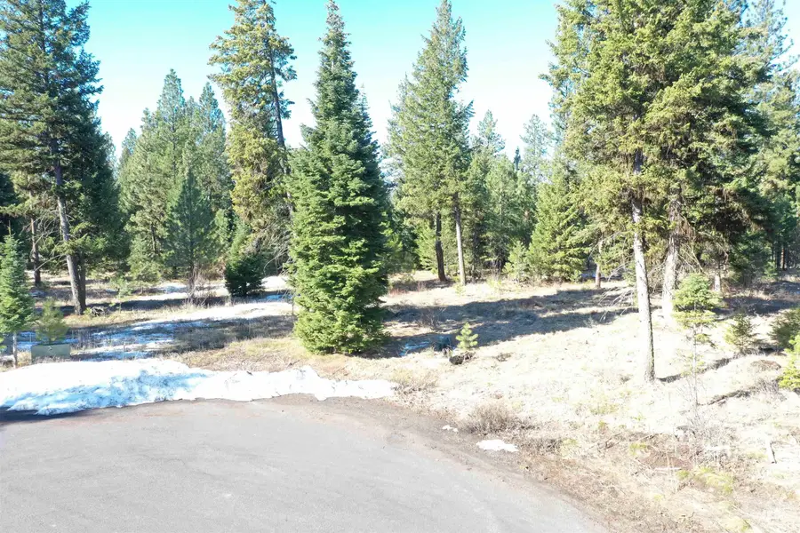 23 Moonbeam Circle, McCall, ID 83638 - #3