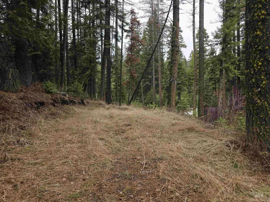 1709 West Mountain Road, Donnelly, ID 83615 - #2