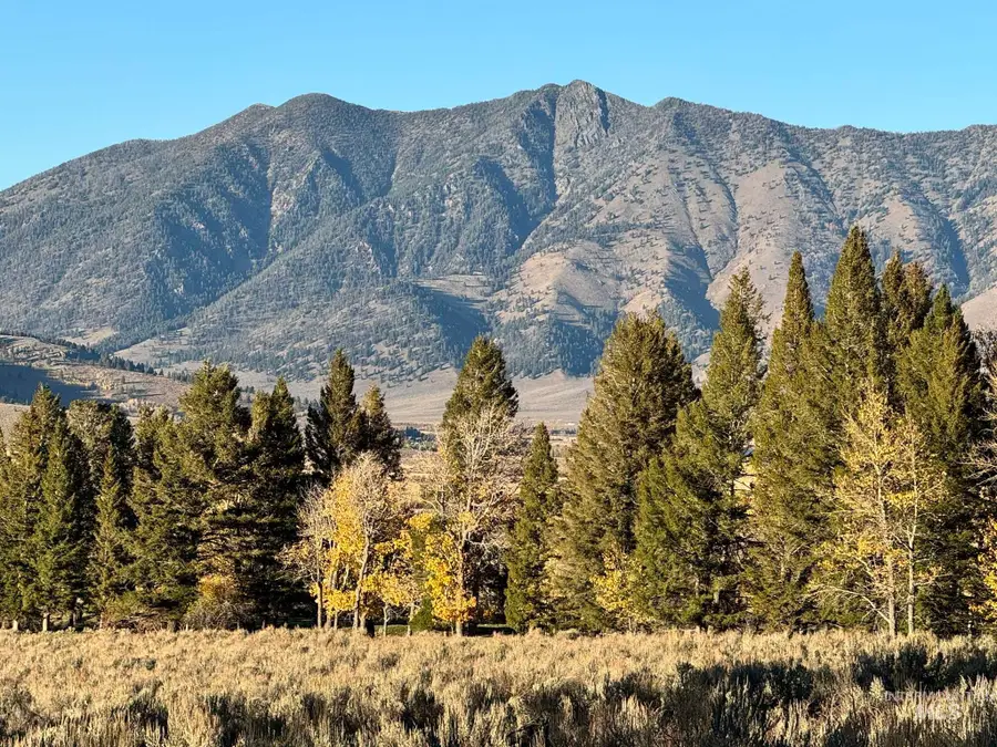 3600 W Red Rock Pass Rd, Island Park, ID 83429 - #3