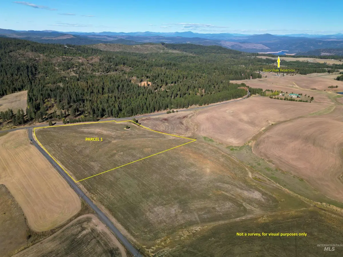 0 Brown Rd, Parcel 1, Lenore, ID 83541 - #1