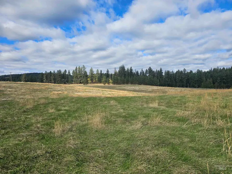 0 Brown Rd, Parcel 1, Lenore, ID 83541 - #3