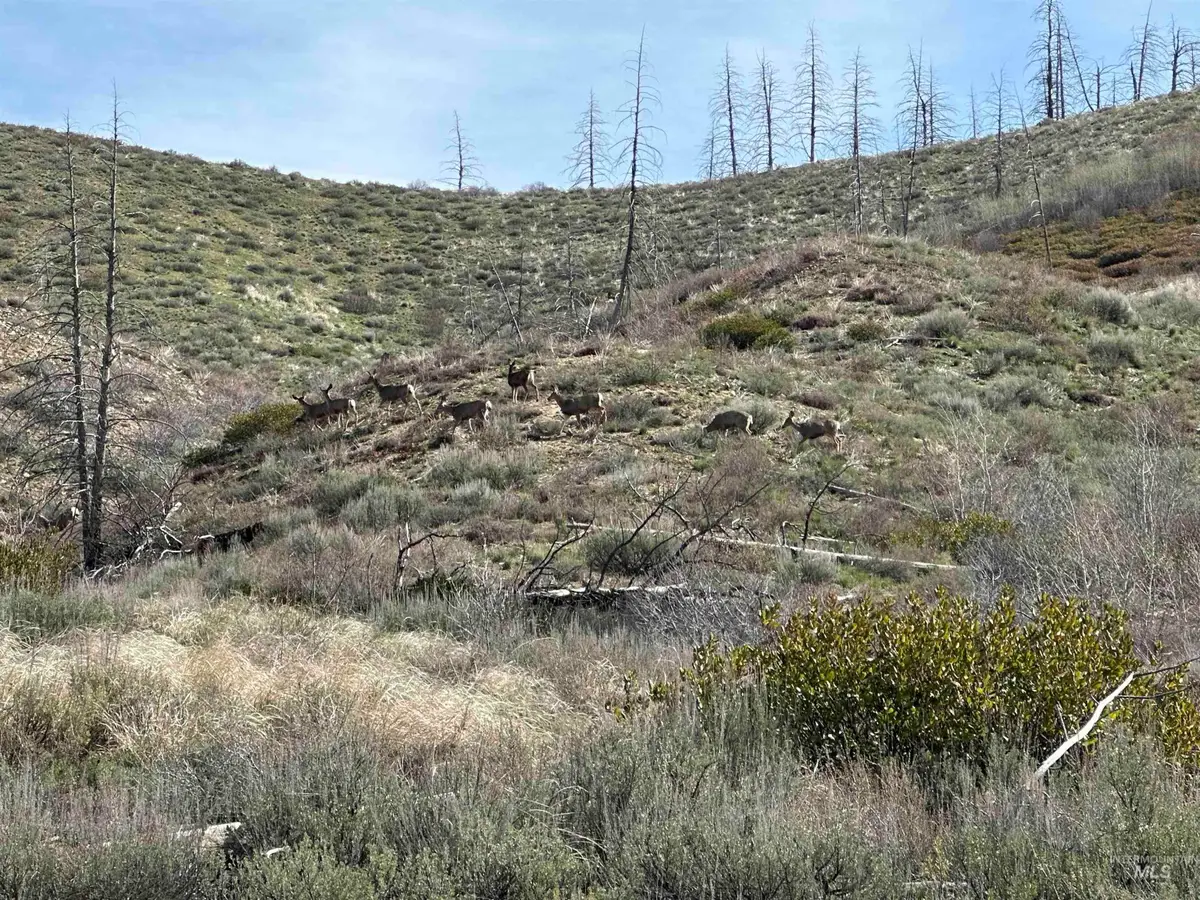 TBD Lester Creek Rd, Pine, ID 83647 - #1