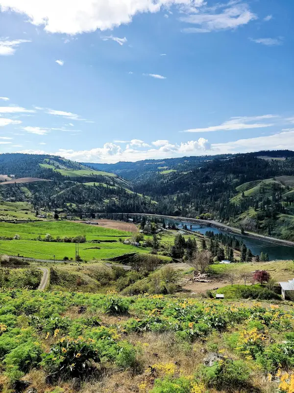 36171 River Rd, Lenore, ID 83541