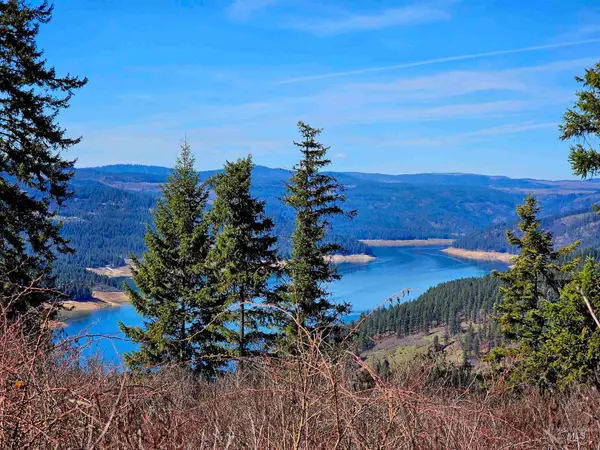 86 Moon River Lane, Orofino, ID 83544