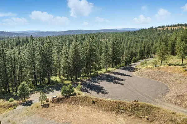 Lot 7 Blk1 Van Dorn Estates, New Meadows, ID 83654