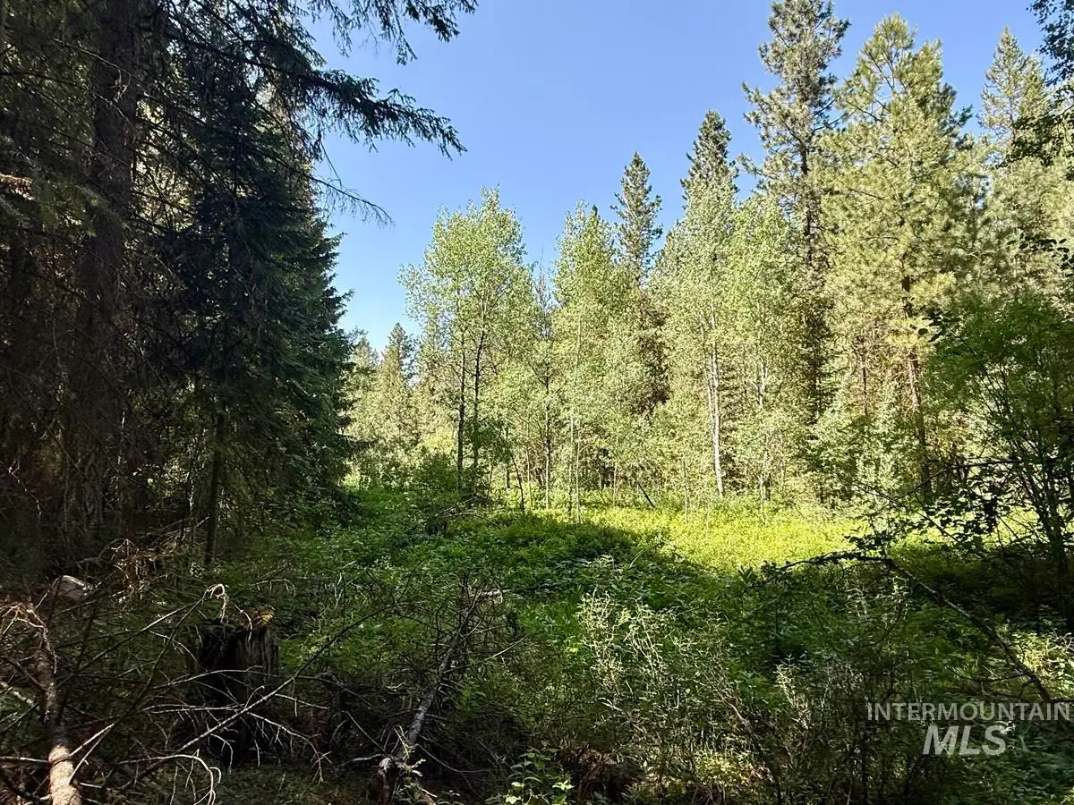 83 Panorama Drive, Cascade, ID 83611 - #1