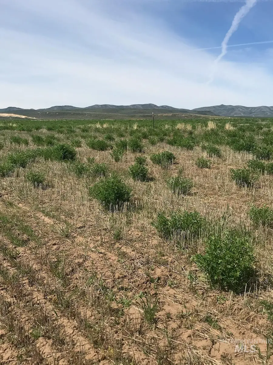 TBD Redtail Ln Lot 7 Blk 2, Fairfield, ID 83327 - #3