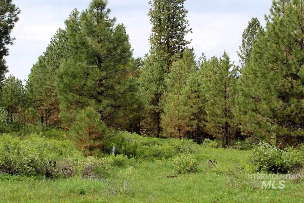 9 Kayla Way, Cascade, ID 83611 - #1