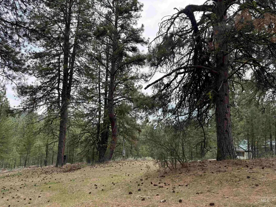 Lot 16 Sunset Loop, Cascade, ID 83611 - #2