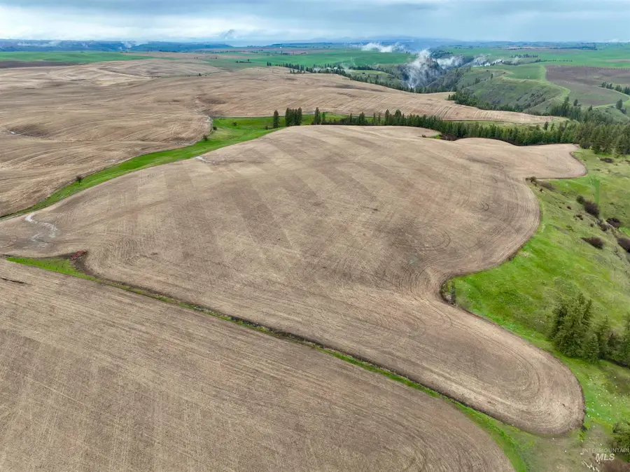 TBD Younger Rd, Craigmont, ID 83523 - #2