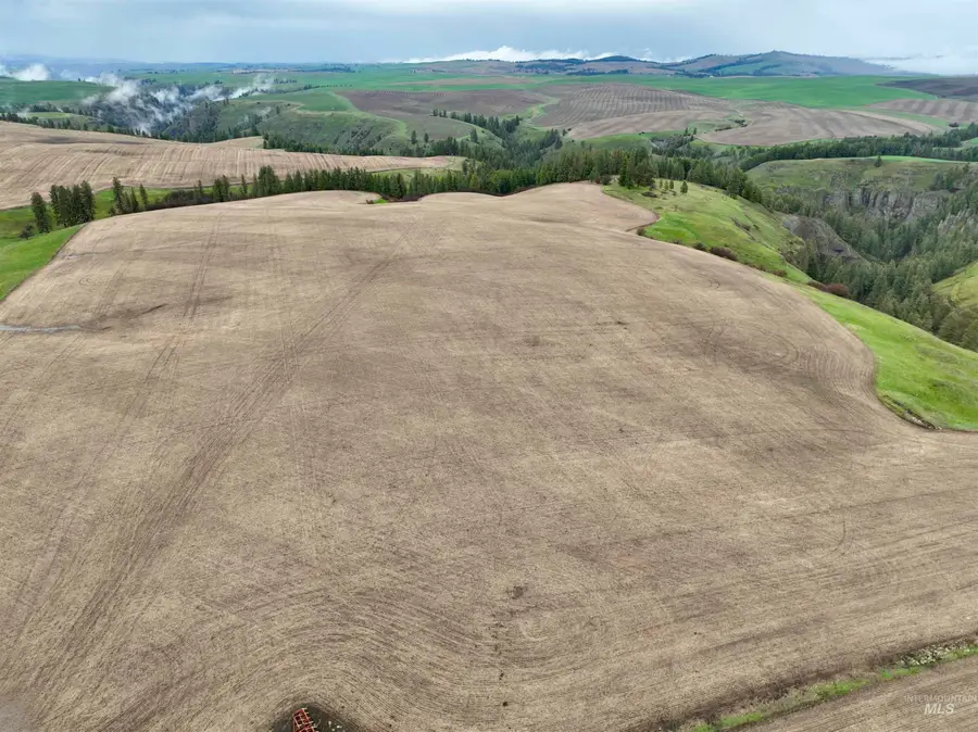 TBD Younger Rd, Craigmont, ID 83523 - #3