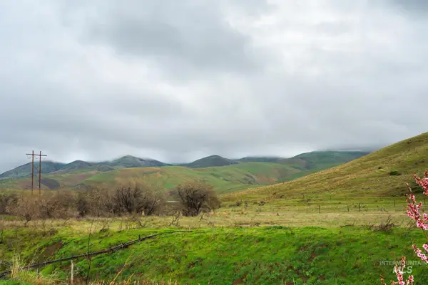 Tax Lot 15854 Lockett Rd., Ontario, OR 97914