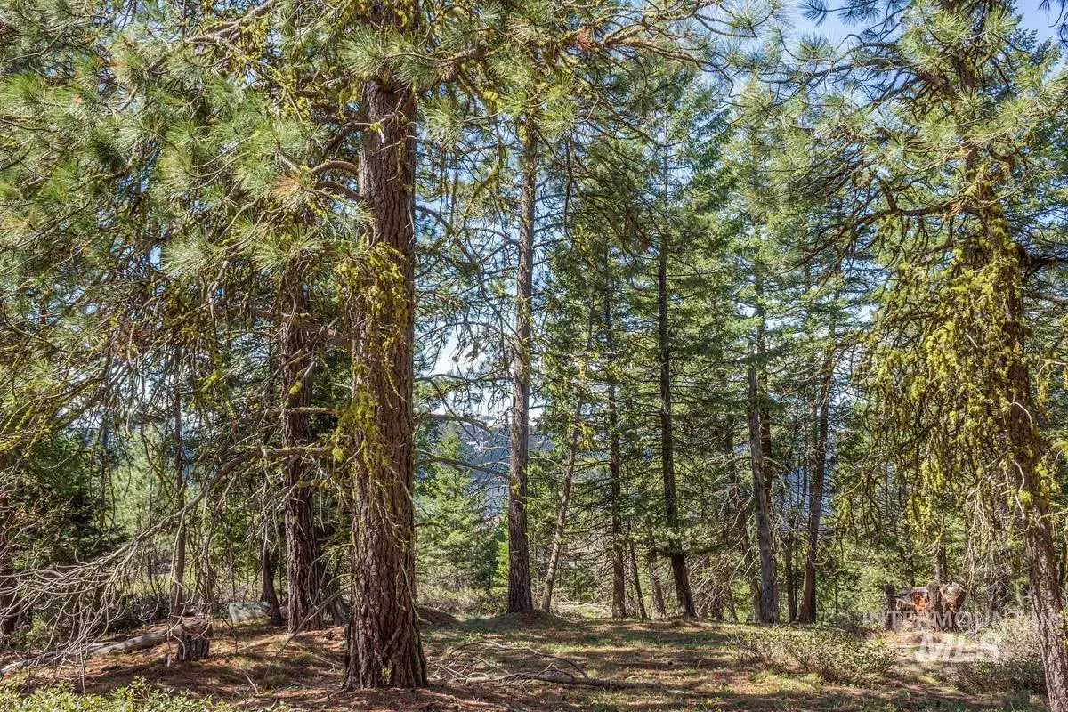 161 Little Donner Drive, Cascade, ID 83611 - #1