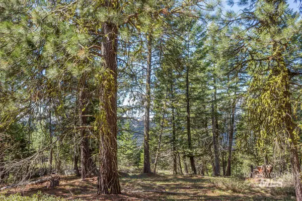 161 Little Donner Drive, Cascade, ID 83611