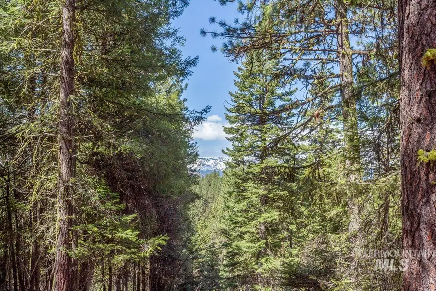 161 Little Donner Drive, Cascade, ID 83611 - #3