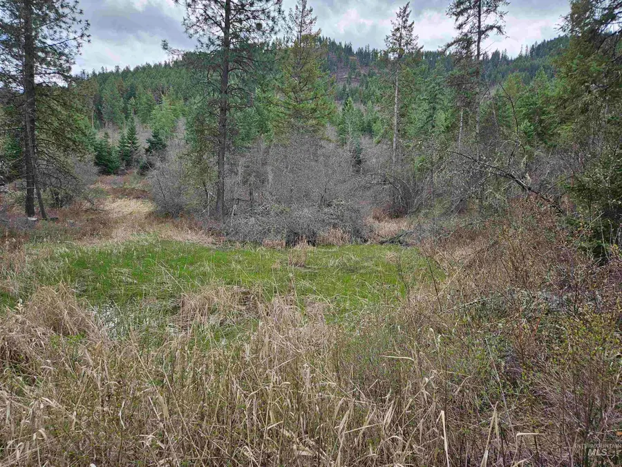 TBD O'brien, Orofino, ID 83544 - #3