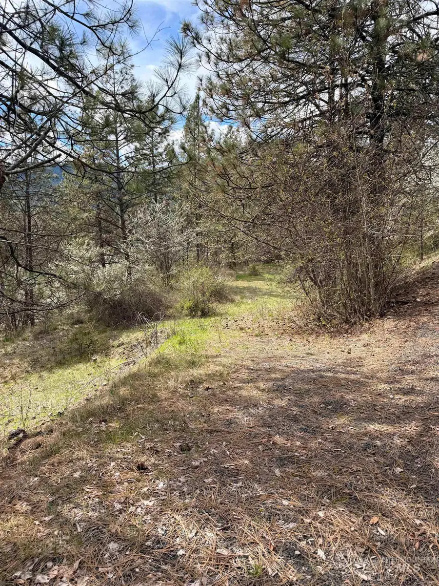 TBD Carlisle Ct Lots 11 & 15, Kamiah, ID 83536 - #2