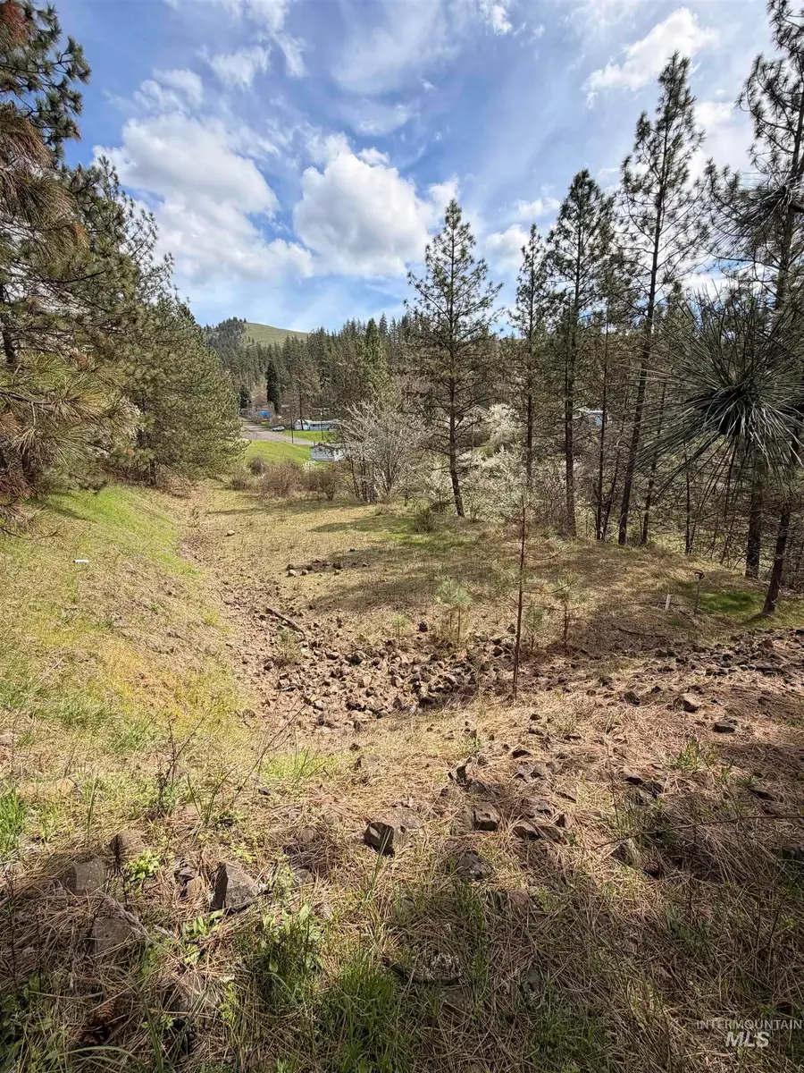 TBD Carlisle Ct Lots 11 & 15, Kamiah, ID 83536 - #3