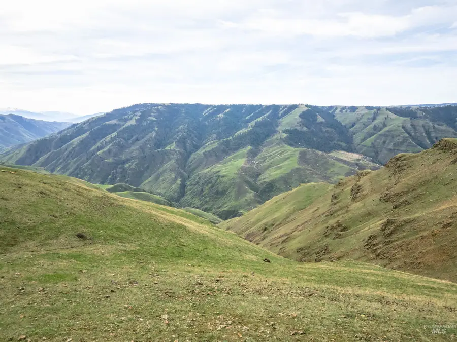 Lot 9 Salmon River Canyon Estates, Grangeville, ID 83530 - #2