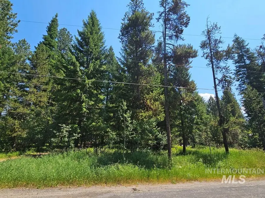 693 N Samson Trail, McCall, ID 83638 - #3