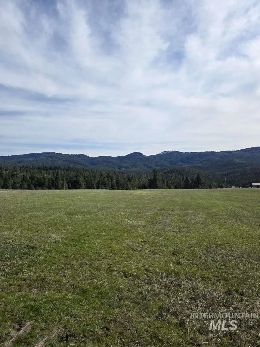 1077 W Liberty Ln, Viola, ID 83872 - #1