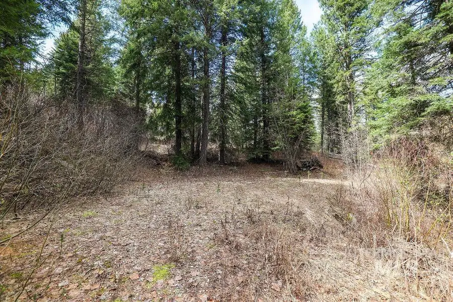 573 West Mountain Road, Cascade, ID 83611 - #2