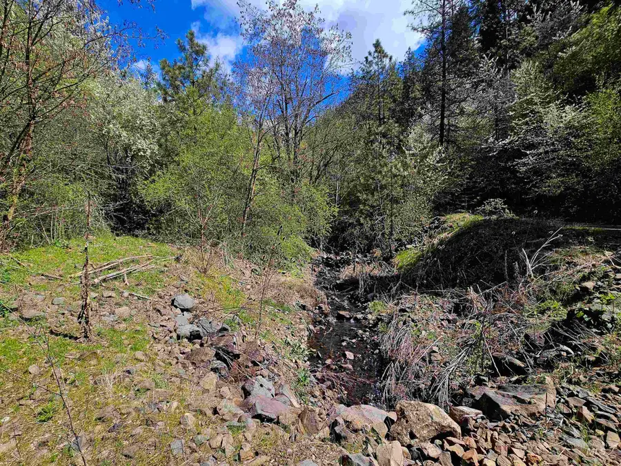 115 Weedmark Way, Kamiah, ID 83536 - #3