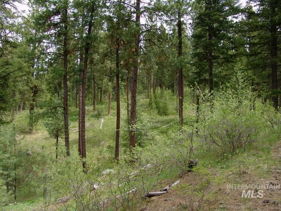 10848 Callender Road, Cascade, ID 83611 - #3