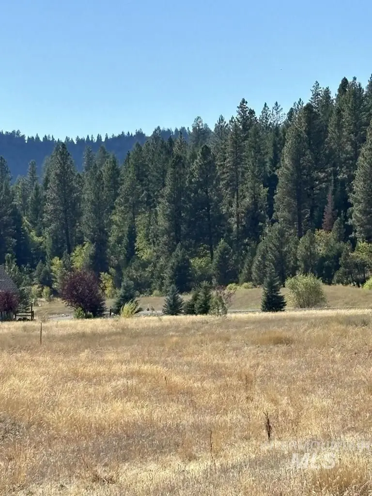 13 Fawnlilly, McCall, ID 83638 - #3