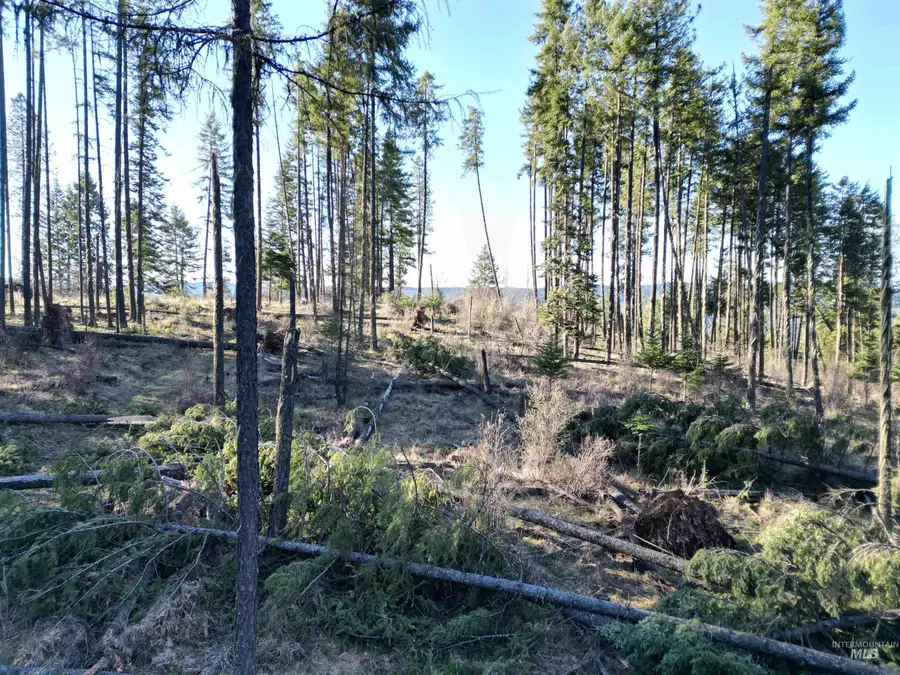 TBD Dent Bridge Road, Orofino, ID 83544 - #3