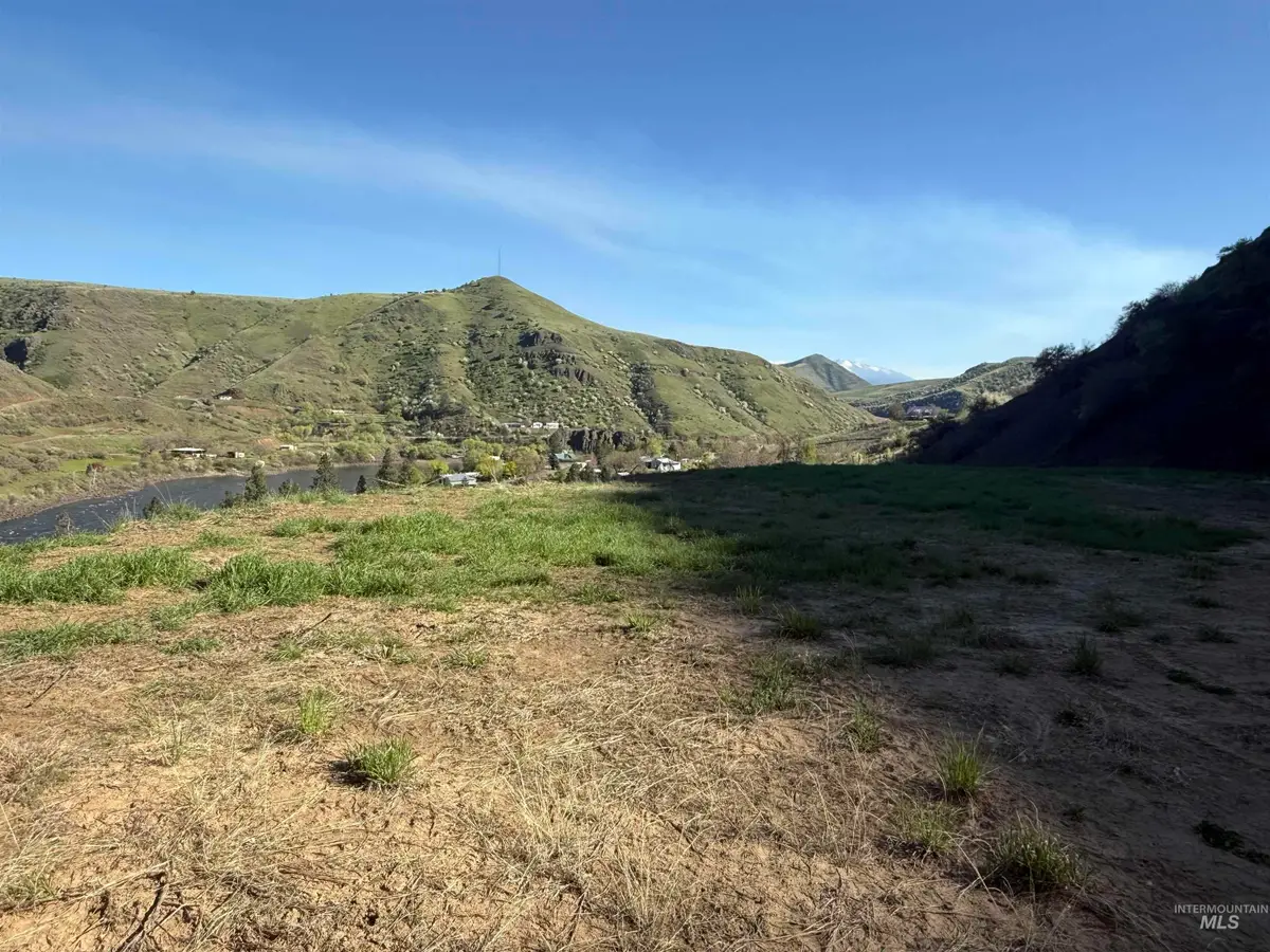 Lot 7 Twin River Subdivision, White Bird, ID 83554 - #1