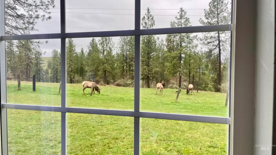 637 Leitch Creek Rd, Kooskia, ID 83539 - #3