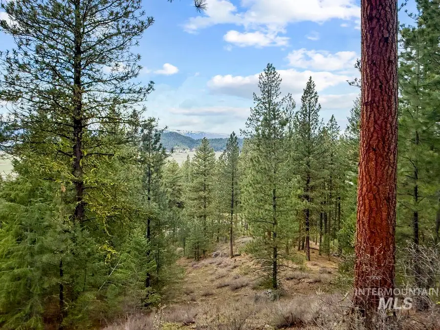 14 San Ignacio Way, Cascade, ID 83611 - #2