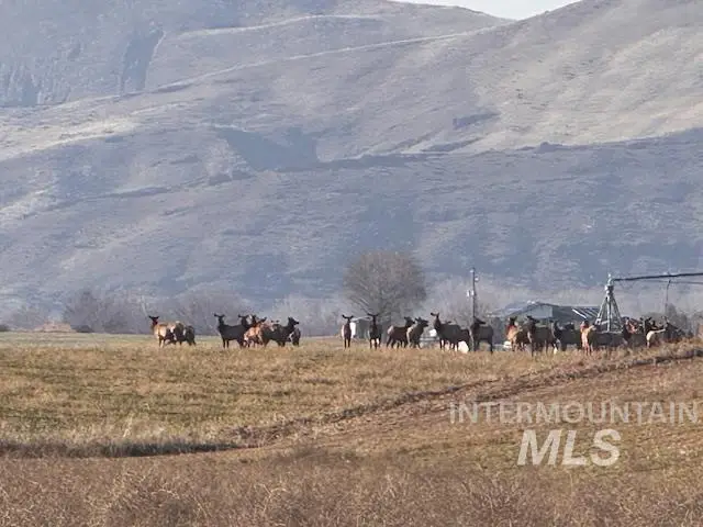 3825 Jake Lane, Emmett, ID 83617 - #3