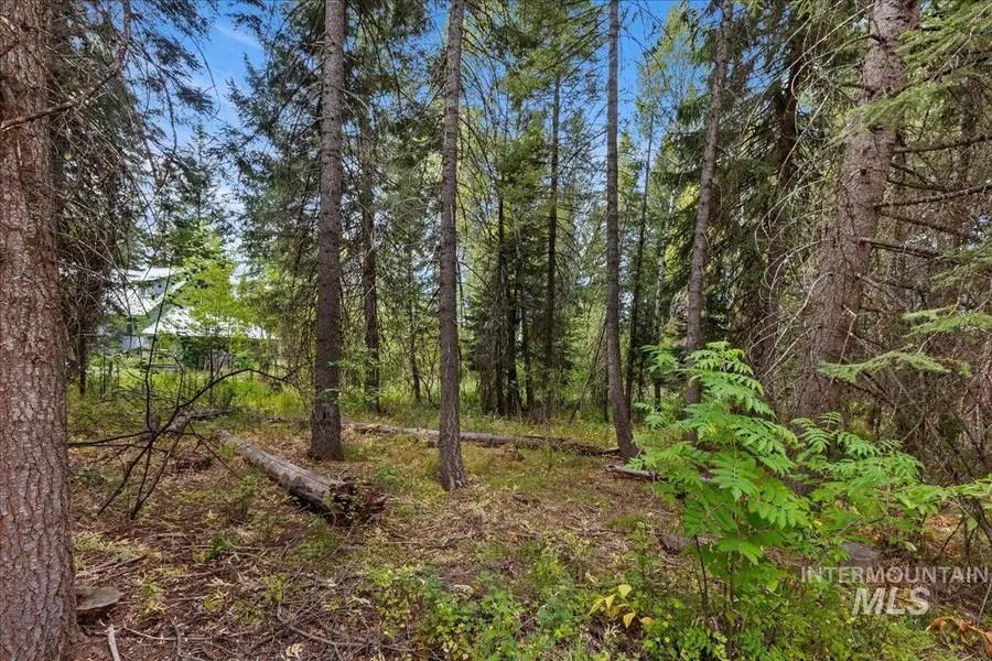 813 Reedy Ln, McCall, ID 83638 - #3