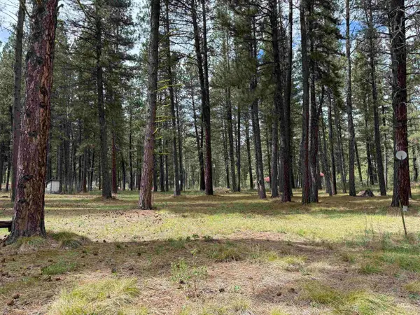 5 Ranft Dr, Idaho City, ID 83631