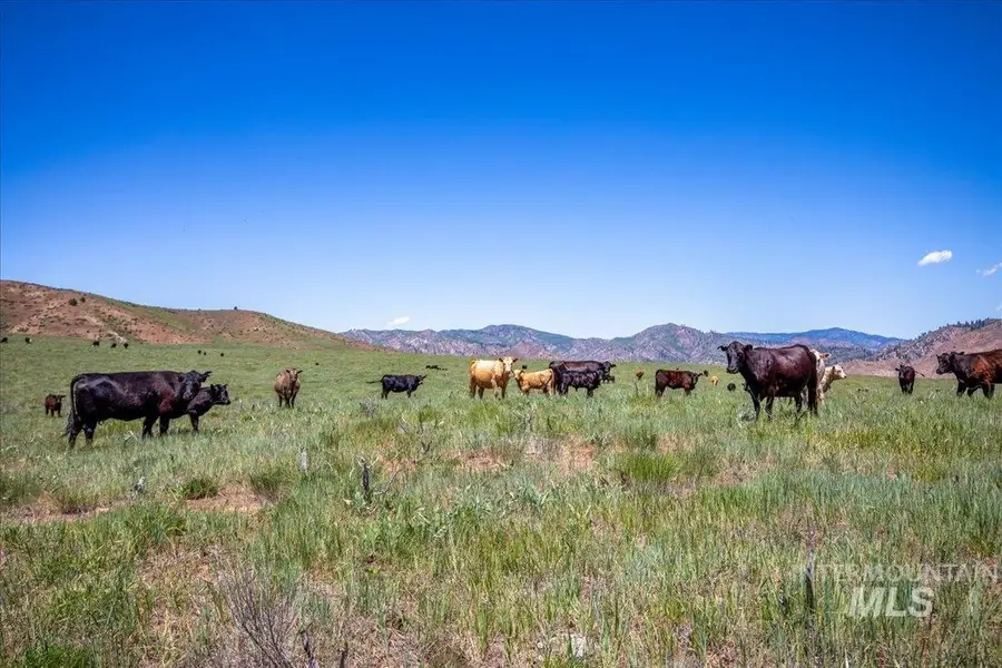 TBD Crank Creek, Mountain Home, ID 83647 - #2