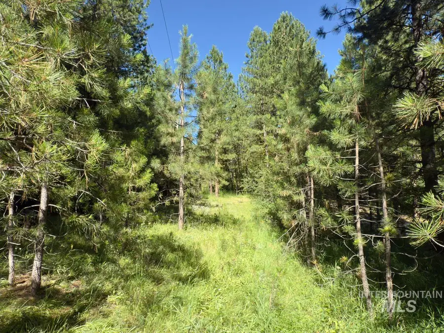 18 & 20 Shady Pine Way, Cascade, ID 83611 - #3