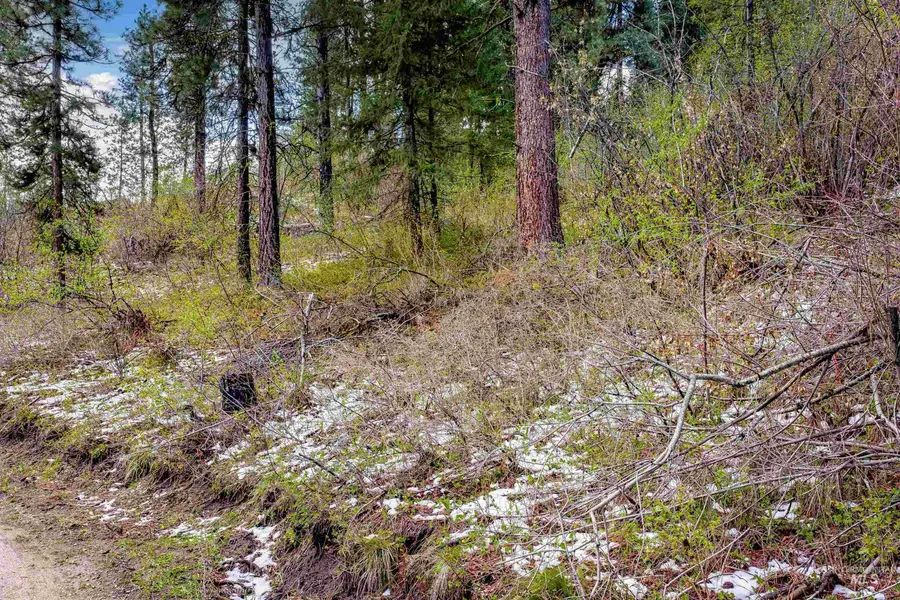 LOT #7 Turners Sub Division, Boise, ID 83716 - #2