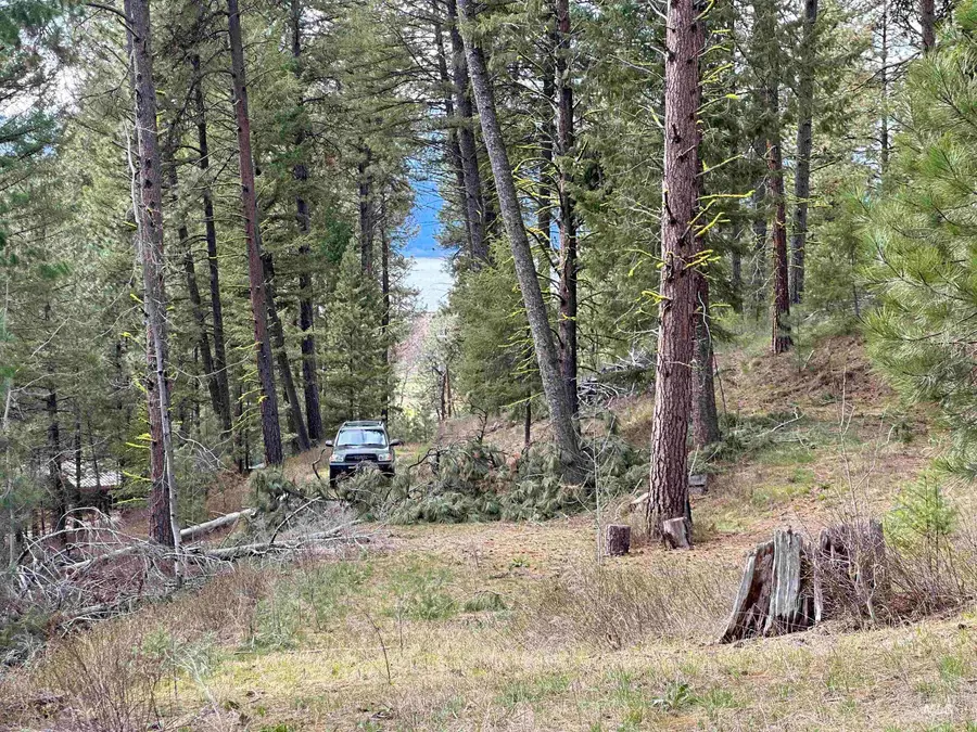 13 Mountain Air Dr., Cascade, ID 83611 - #2