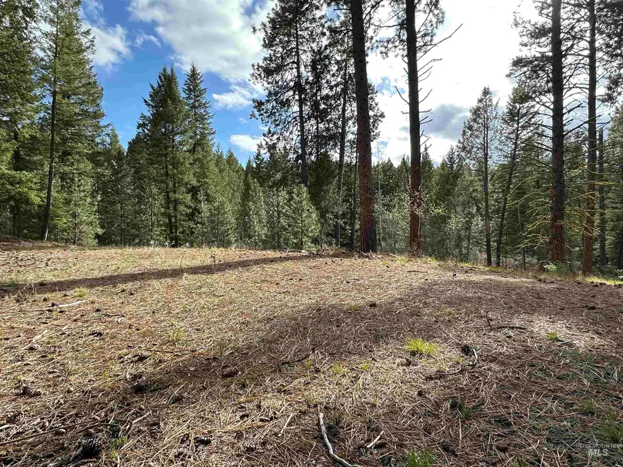 13 Mountain Air Dr., Cascade, ID 83611 - #3