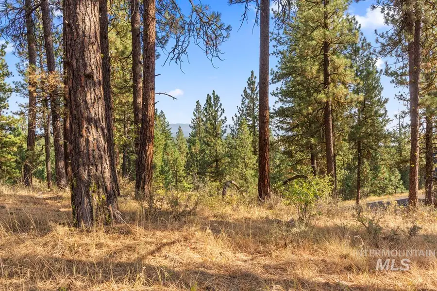 20 Joshua Drive, Cascade, ID 83611 - #2