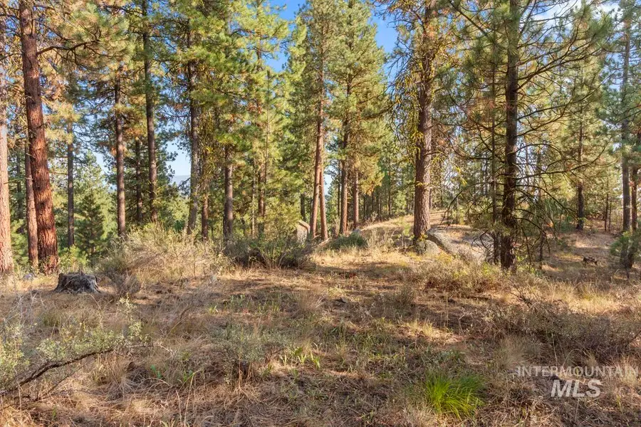 20 Joshua Drive, Cascade, ID 83611 - #3