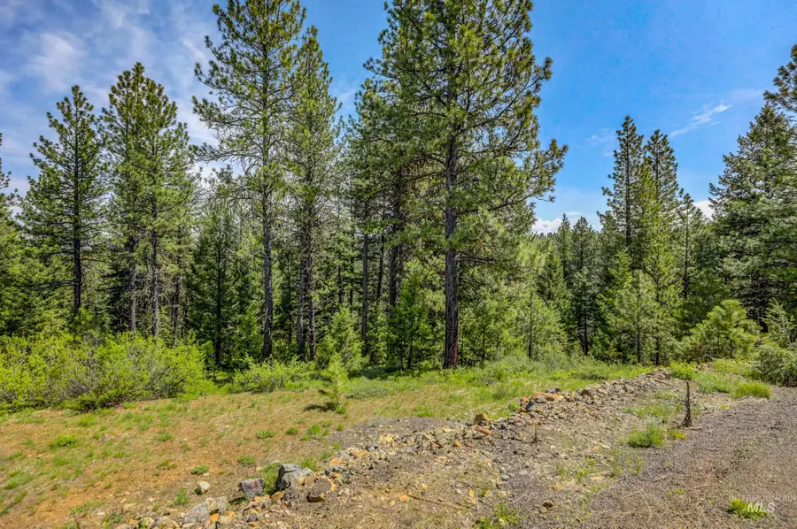 TBD Tamarack View Drive, New Meadows, ID 83654 - #2