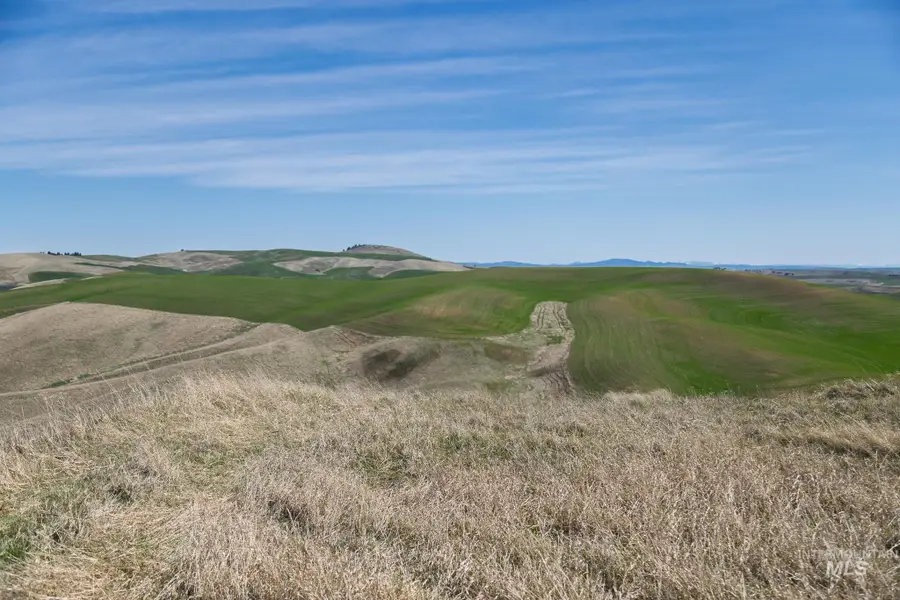 NKA Jacksha, Moscow, ID 83843 - #2