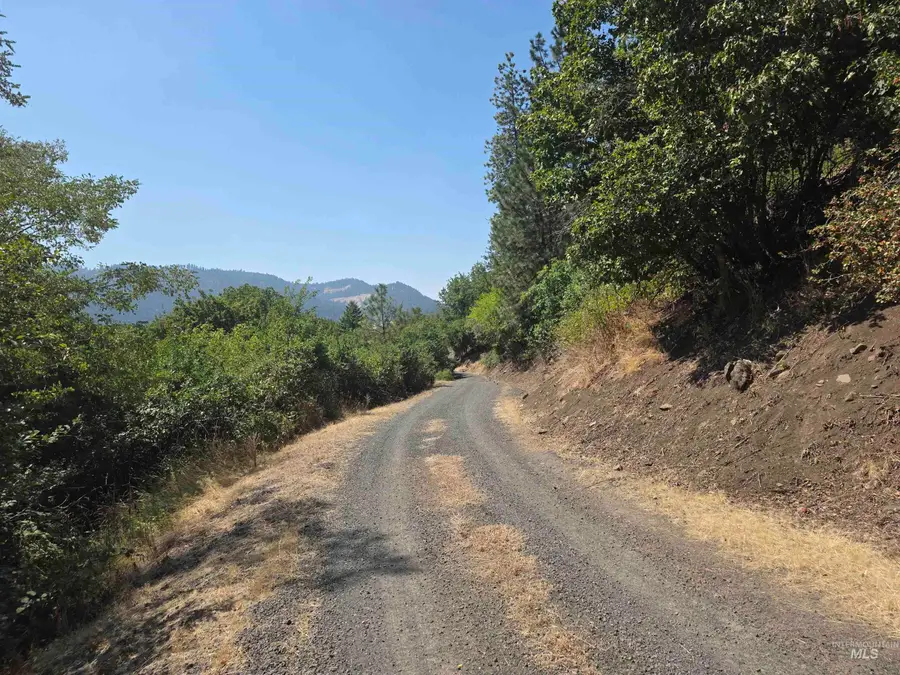 1780 Forsman Avenue, Orofino, ID 83544 - #2