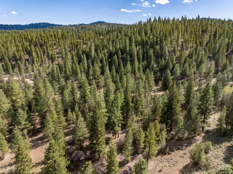 Lot 12 Star Creek Ct, Placerville, ID 83636 - #3