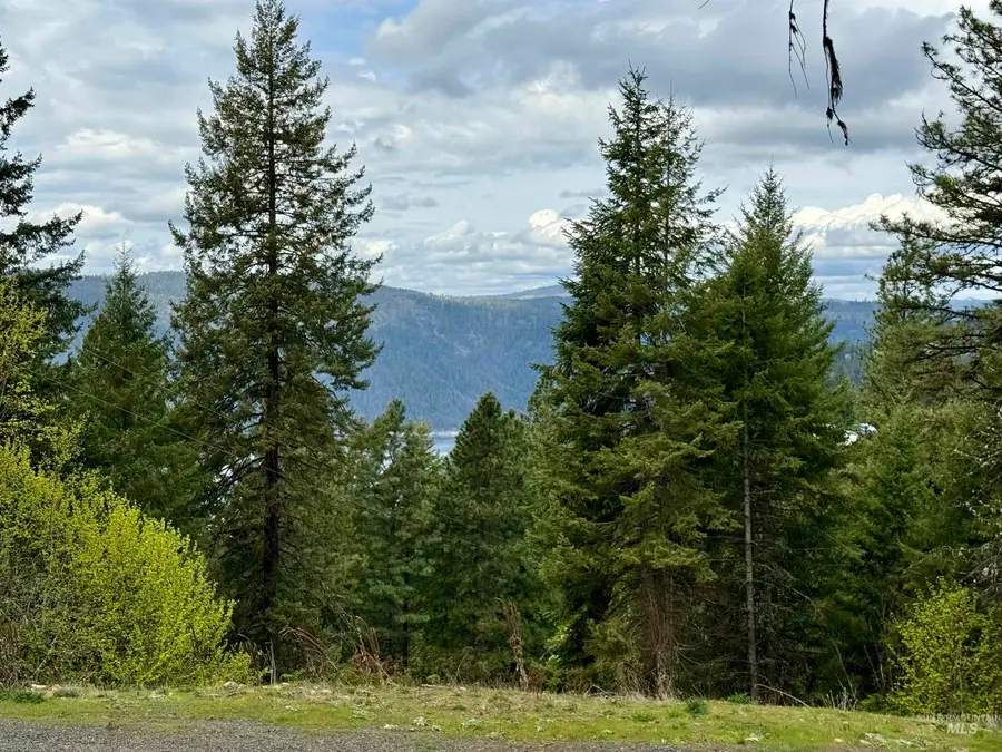 TBD Lakeview Rd, Orofino, ID 83544 - #3