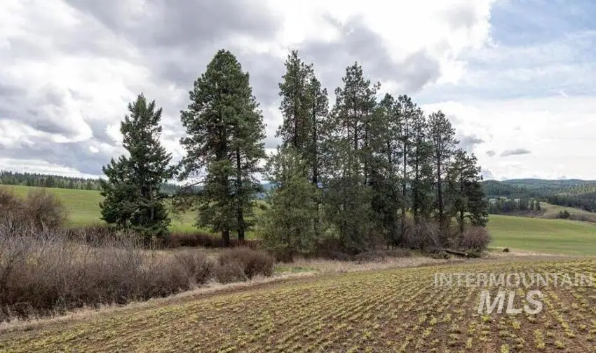 NKA Clifford Rd, Princeton, ID 83857 - #2