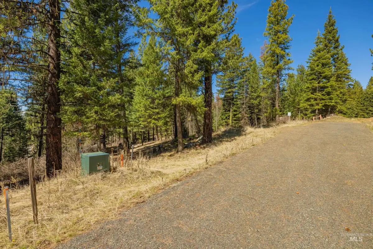 8 York Street, McCall, ID 83638 - #1